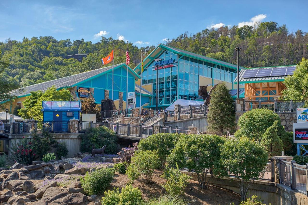 5Bd5B Escape Cabin With 2 Hottubs, Thtr &Game Rm,1Mi To The Parkway! 4Mi To Dollywood - Spring Deal Pigeon Forge Exteriér fotografie